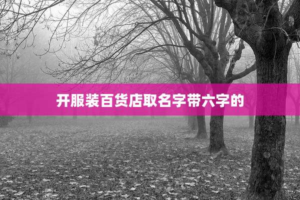 开服装百货店取名字带六字的