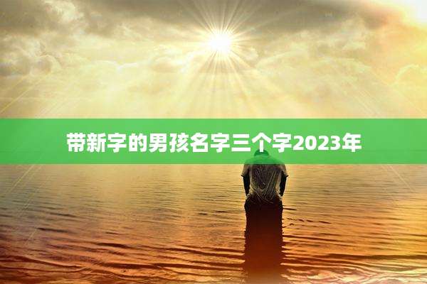 带新字的男孩名字三个字2023年