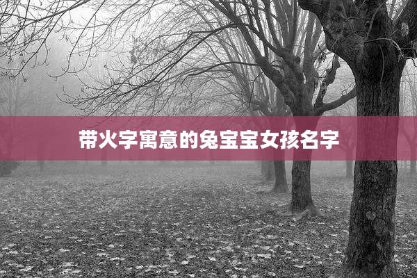 带火字寓意的兔宝宝女孩名字