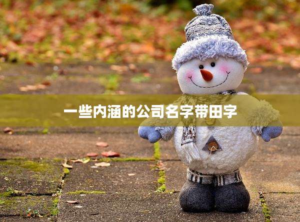 一些内涵的公司名字带田字