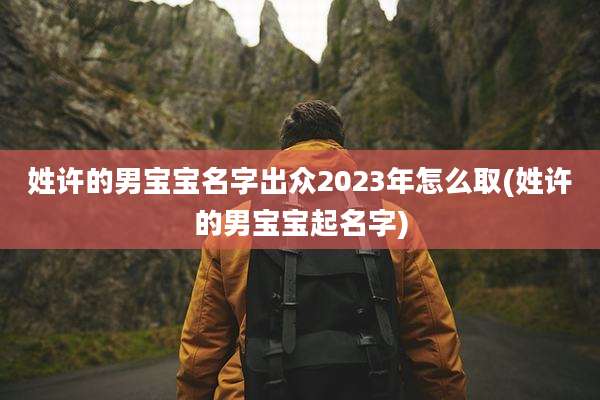 姓许的男宝宝名字出众2023年怎么取(姓许的男宝宝起名字)