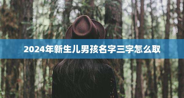 2024年新生儿男孩名字三字怎么取