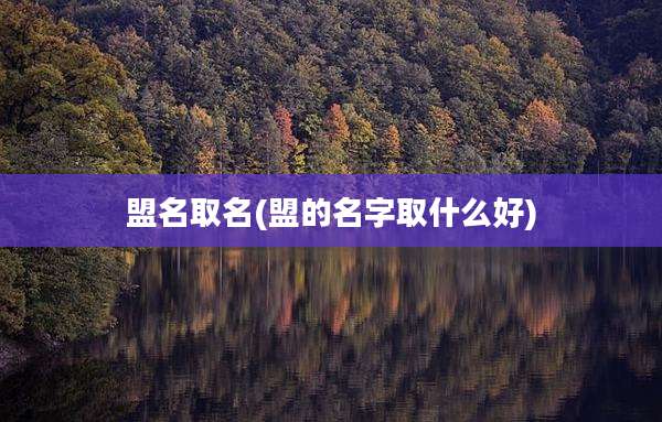 盟名取名(盟的名字取什么好)