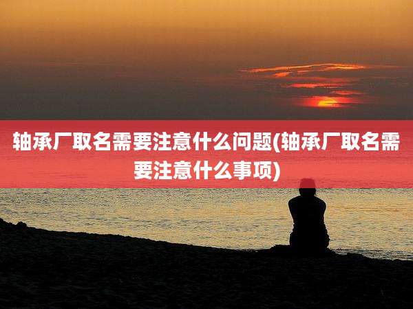 轴承厂取名需要注意什么问题(轴承厂取名需要注意什么事项)