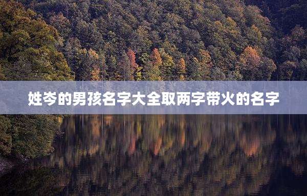 姓岑的男孩名字大全取两字带火的名字