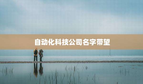 自动化科技公司名字带望