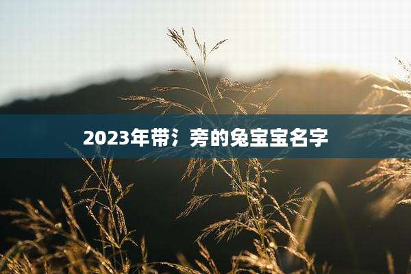 2023年带氵旁的兔宝宝名字