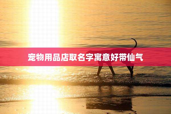 宠物用品店取名字寓意好带仙气