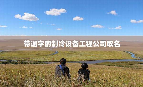带通字的制冷设备工程公司取名