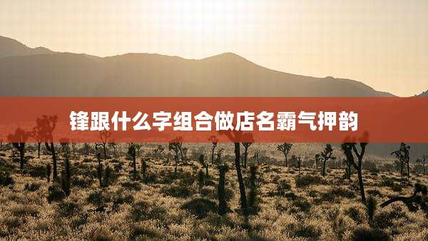锋跟什么字组合做店名霸气押韵