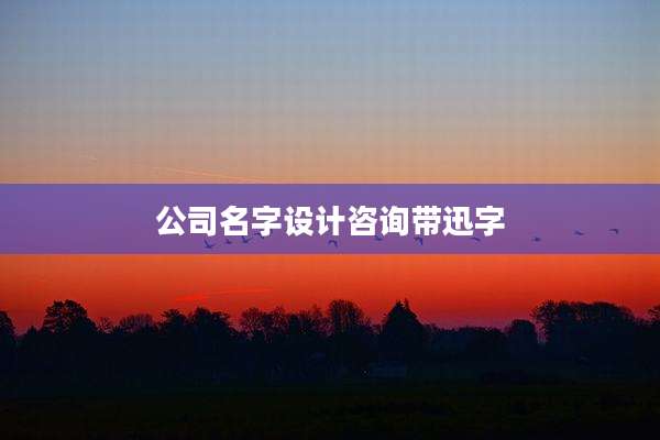 公司名字设计咨询带迅字