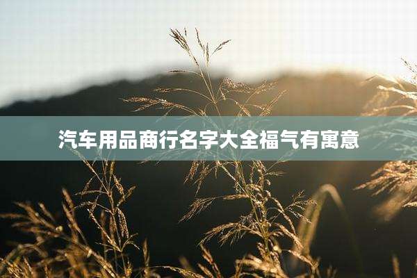汽车用品商行名字大全福气有寓意