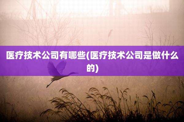 医疗技术公司有哪些(医疗技术公司是做什么的)