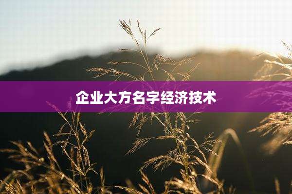 企业大方名字经济技术
