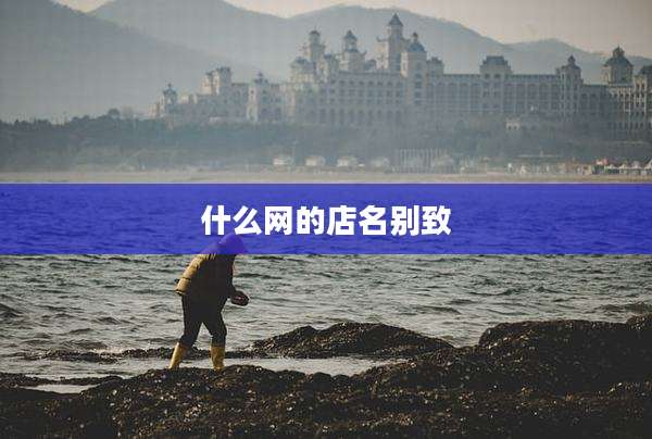 什么网的店名别致
