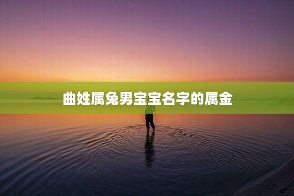 曲姓属兔男宝宝名字的属金