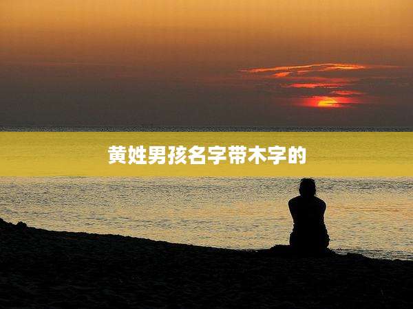 黄姓男孩名字带木字的