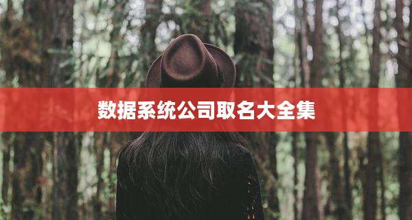 数据系统公司取名大全集