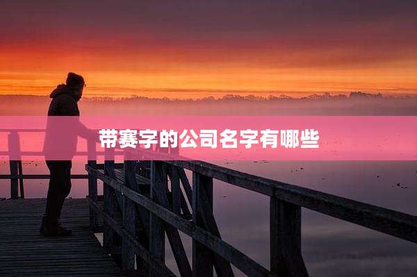 带赛字的公司名字有哪些
