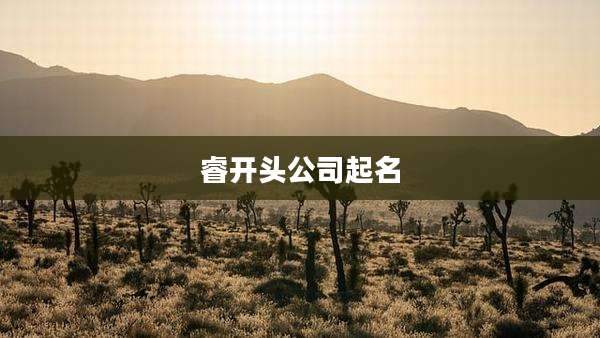 睿开头公司起名