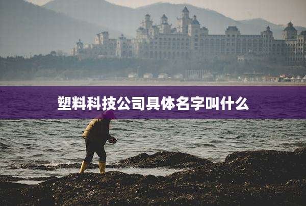 塑料科技公司具体名字叫什么
