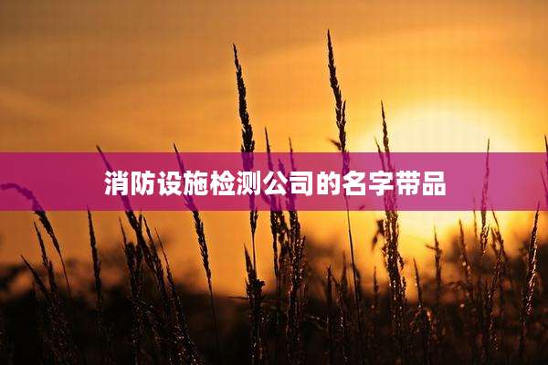 消防设施检测公司的名字带品