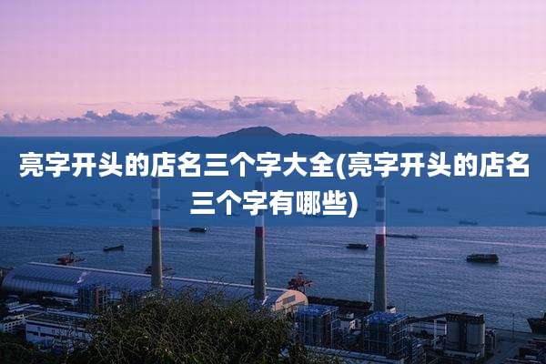 亮字开头的店名三个字大全(亮字开头的店名三个字有哪些)