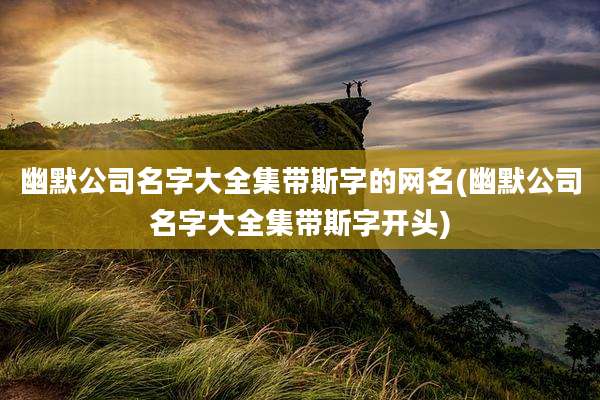 幽默公司名字大全集带斯字的网名(幽默公司名字大全集带斯字开头)
