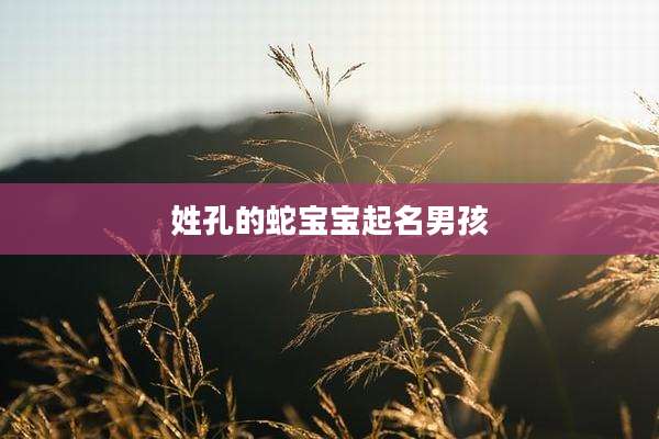 姓孔的蛇宝宝起名男孩