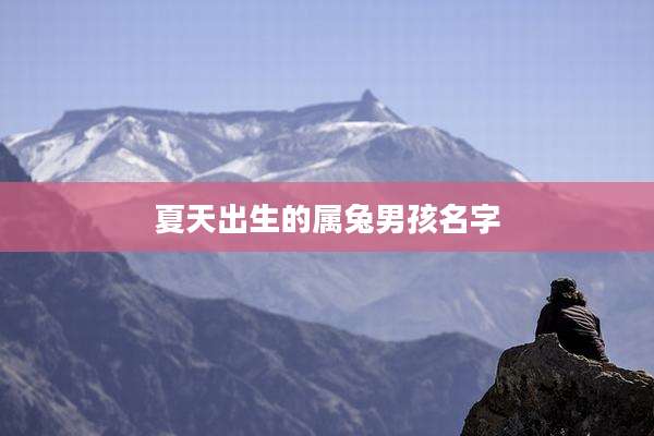 夏天出生的属兔男孩名字
