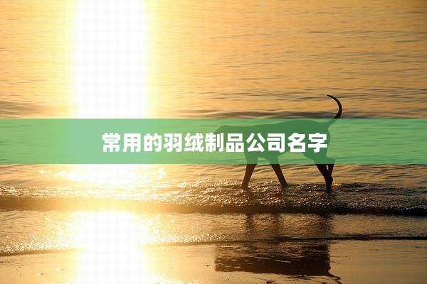 常用的羽绒制品公司名字