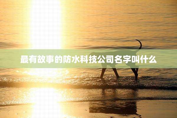 最有故事的防水科技公司名字叫什么