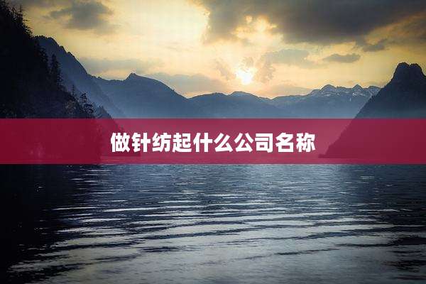 做针纺起什么公司名称