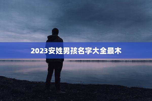 2023安姓男孩名字大全最木