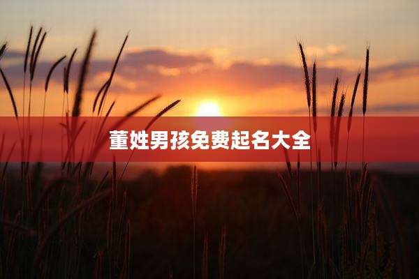 董姓男孩免费起名大全