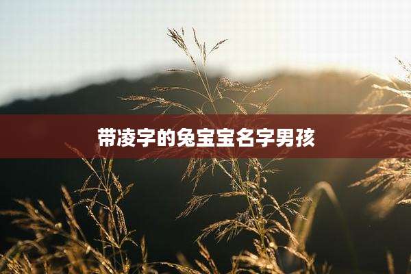 带凌字的兔宝宝名字男孩