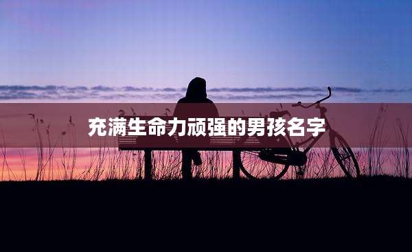 充满生命力顽强的男孩名字