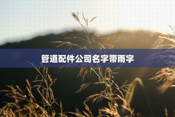 管道配件公司名字带雨字