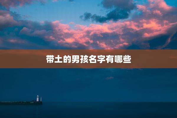 带土的男孩名字有哪些