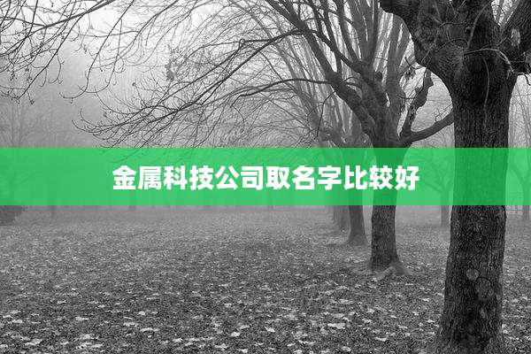 金属科技公司取名字比较好