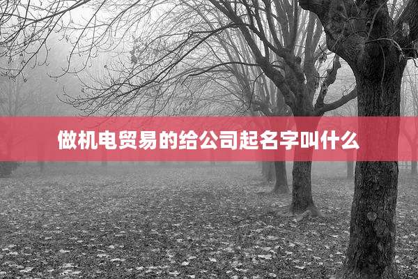 做机电贸易的给公司起名字叫什么