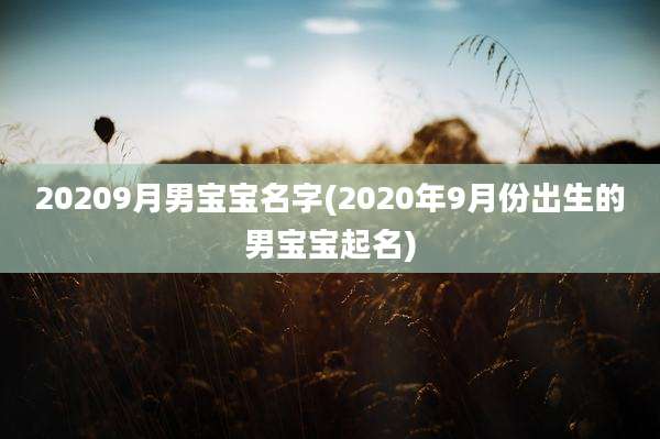 20209月男宝宝名字(2020年9月份出生的男宝宝起名)
