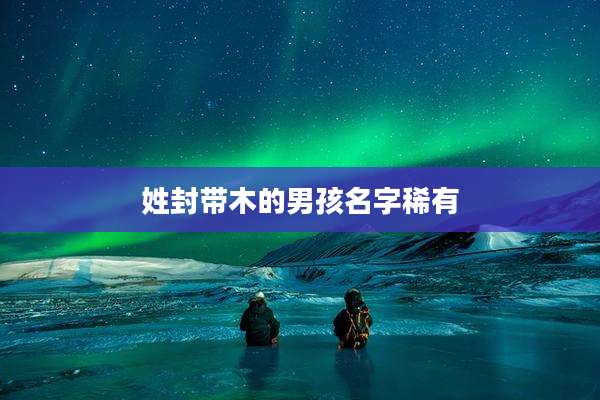 姓封带木的男孩名字稀有