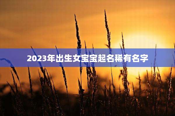 2023年出生女宝宝起名稀有名字