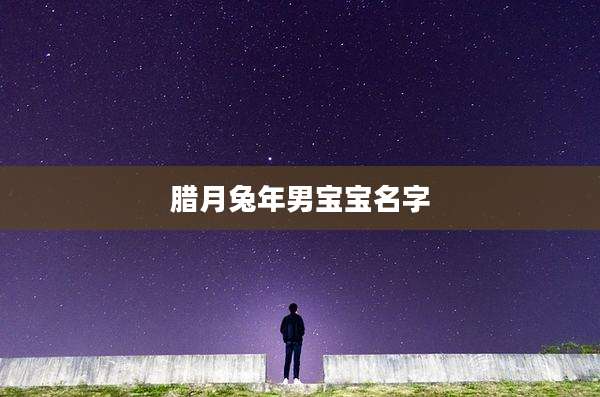腊月兔年男宝宝名字