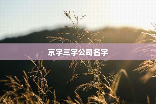 京字三字公司名字