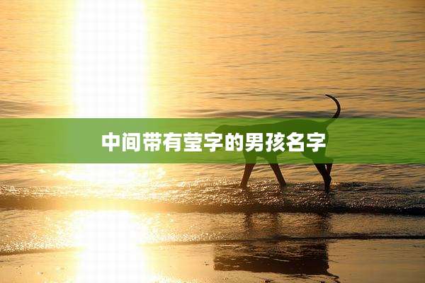 中间带有莹字的男孩名字