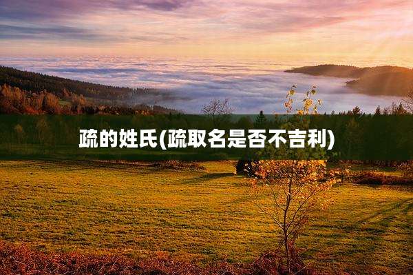 疏的姓氏(疏取名是否不吉利)