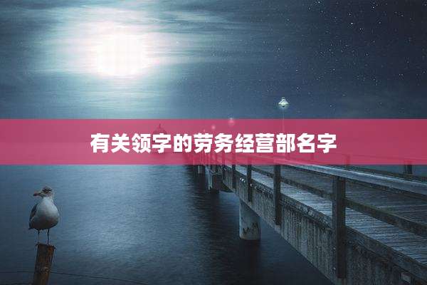 有关领字的劳务经营部名字
