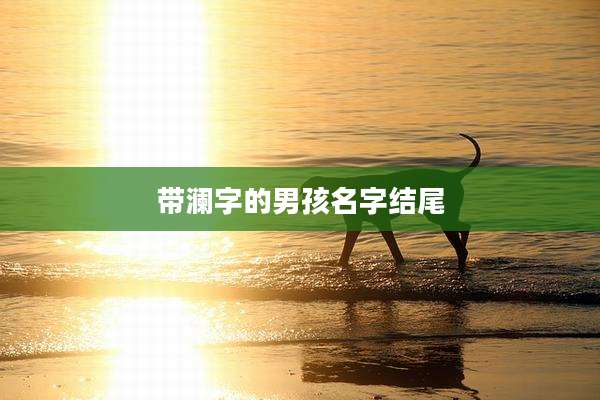 带澜字的男孩名字结尾